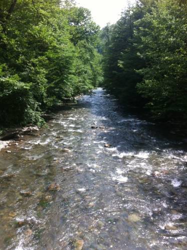 Фотографии гостевого дома
Золотой Каштан