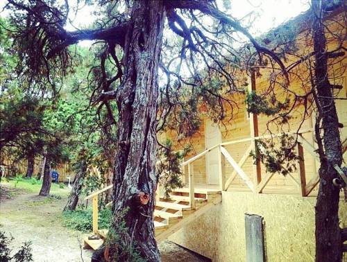 Фотография мини отеля Милана