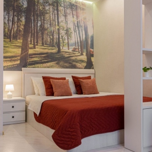 Фотография квартиры Апартаменты на Советской 3