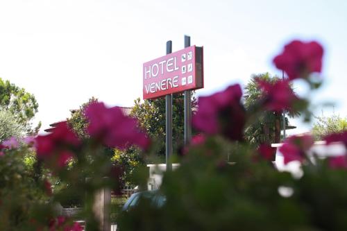 Фотография гостиницы Hotel Venere