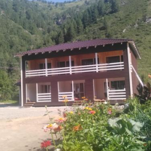 Фотография гостевого дома Сосновый бор