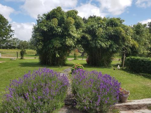 Фотография мини отеля B&B Little Creek