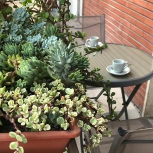 Фотография гостевого дома Pardis