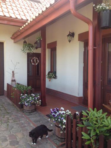 Фотография базы отдыха Zielona parcela