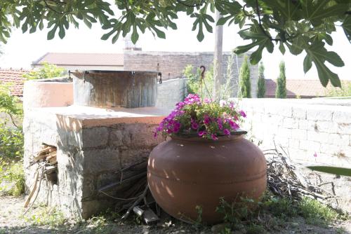 Фотография гостевого дома Marianna Mansion