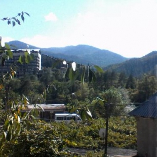 Фотография Жилья Borjomi Likani Homestay