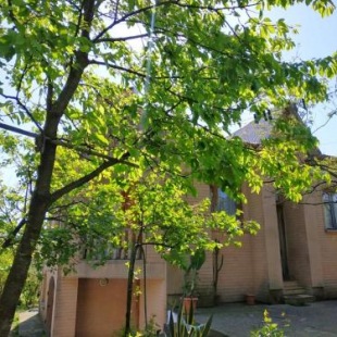 Фотография гостевого дома Сибиряк