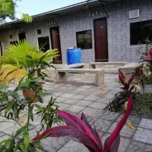 Фотографии хостела
Katrina's Dorm