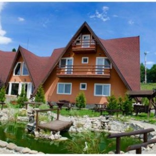 Фотография гостевого дома Pensiunea LIN COTA 1000