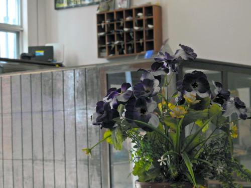 Фотография гостиницы Don Luis Hostal - Sucursal Hidalgo - Tecolutla