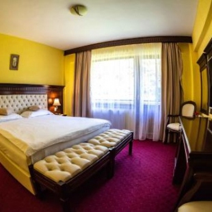 Фотография гостиницы Hotel Trei Brazi