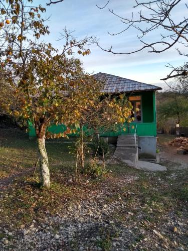 Фотография гостевого дома Hotel Guliada