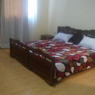 Фотография гостевого дома Green Guest House