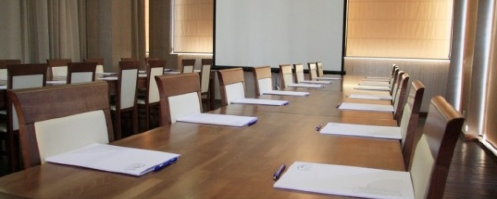 Фотографии конференц-зала Феодосия