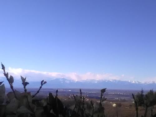 Фотография гостевого дома Blueberry Rooms