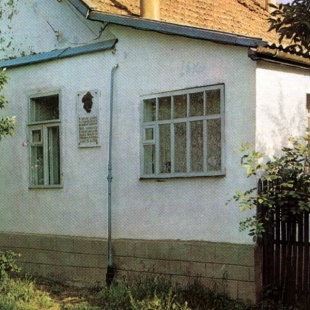 Фотография памятника архитектуры Дом Рошке, где бывал М.Ю. Лермонтов