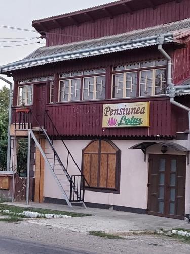 Фотография гостевого дома Lotus