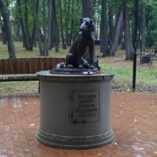 Фотография памятника Памятник-копилка Бездомная собака