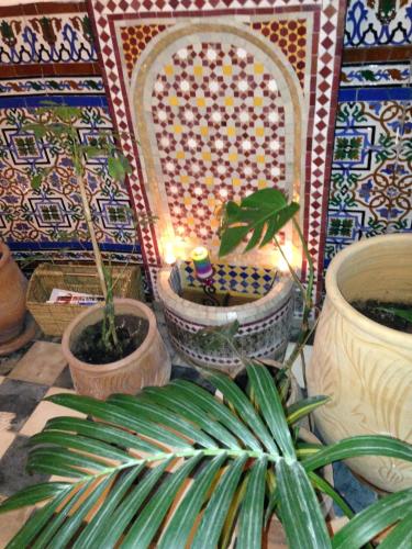 Фотография мини отеля Dar Nakhla Naciria