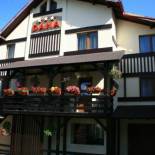 Фотография гостевого дома Pensiunea Dana