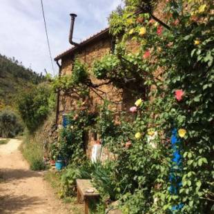 Фотографии мини отеля
Guest Room B&B Agro-turismo Quinta da Fonte