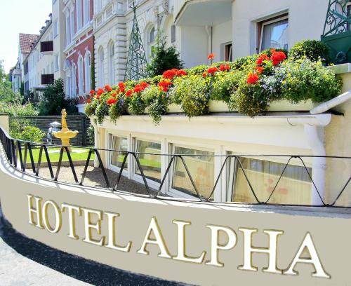 Фотография гостиницы Hotel Alpha