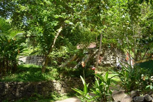 Фотография квартиры Jungle House