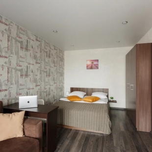 Фотография квартиры Квартира Две Подушки на Гагарина 82а-279