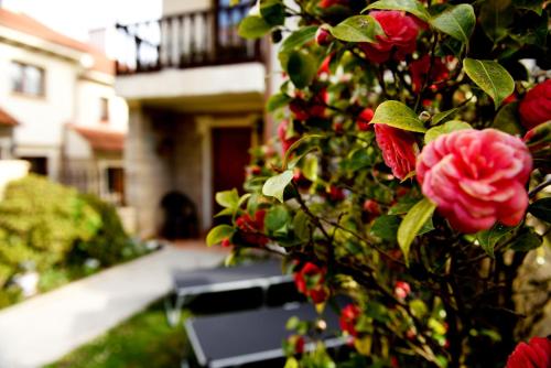 Фотография гостевого дома House Las Camelias Somo