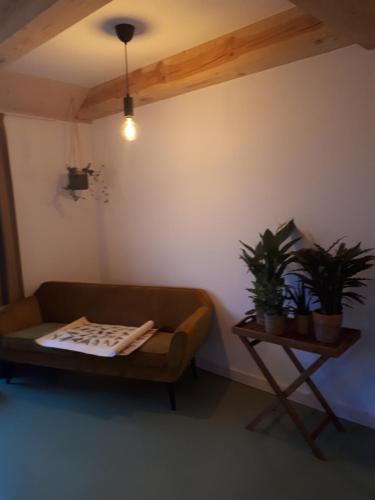 Фотография мини отеля Wijngaard de Kroon van Texel