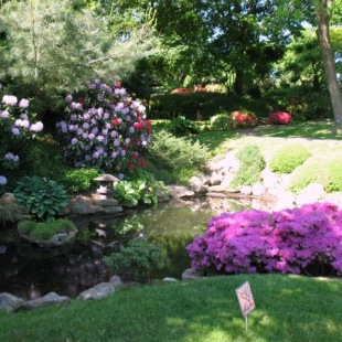 Фотография достопримечательности Ботанический сад