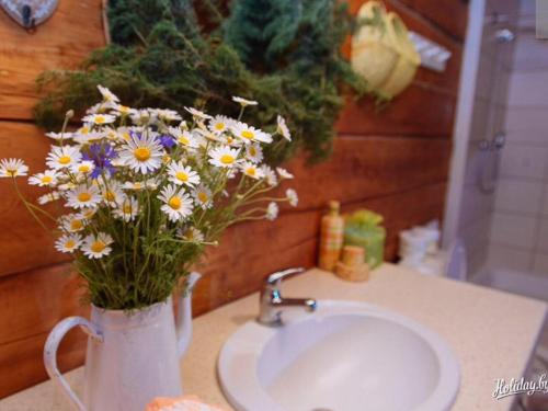 Фотографии гостевого дома
Агроусадьба Беловежская Светлица