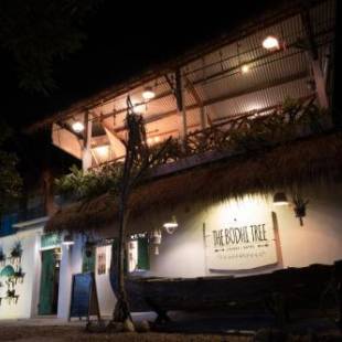 Фотографии хостела 
            The Bodhi Tree Karimunjawa