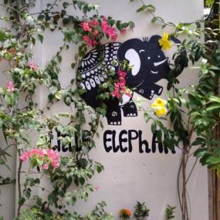 Фотографии гостевого дома
Little Elephant Cottage