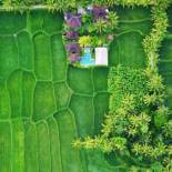 Фотография мини отеля Hati Padi Cottages