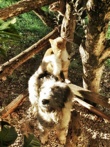 Фотография базы отдыха Agriturismo Cisogna