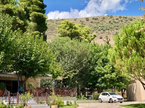 Фотография гостиницы Hotel Marathia