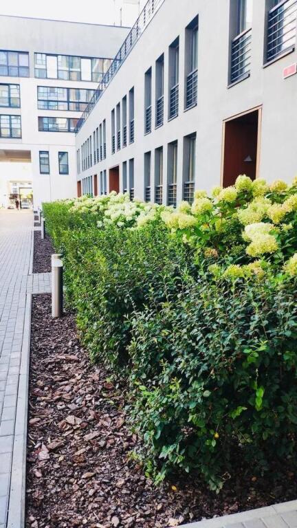 Фотографии квартиры 
            Апартаменты Ap'hotel butterfly (Ап'хотел батерфлай) на улице 50 лет Октября 57Б