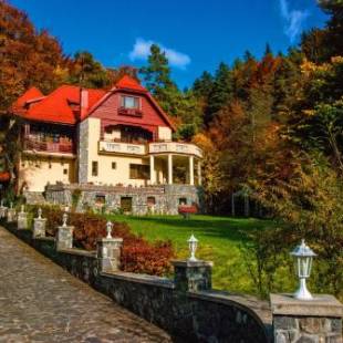 Фотографии гостевого дома
Pensiunea Boema