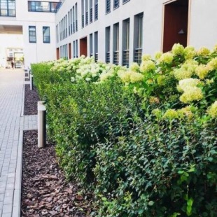 Фотография квартиры Апартаменты Ap'hotel butterfly (Ап'хотел батерфлай) на улице 50 лет Октября 57Б