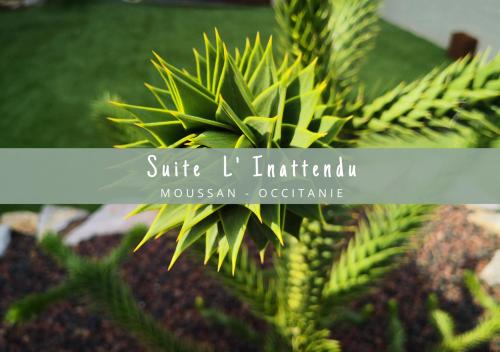 Фотография гостевого дома Suite l'inattendu avec Spa privatif et espace bien-être.