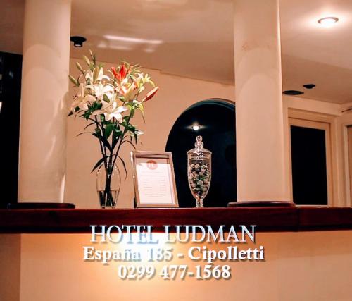 Фотография гостиницы Hotel Ludman