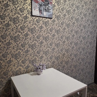 Фотография квартиры Апартаменты на улице Котлярова 30