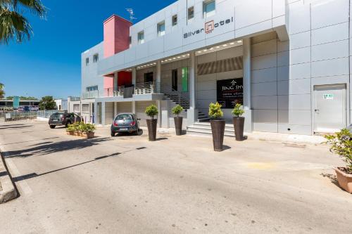 Фотография гостиницы Silver Hotel