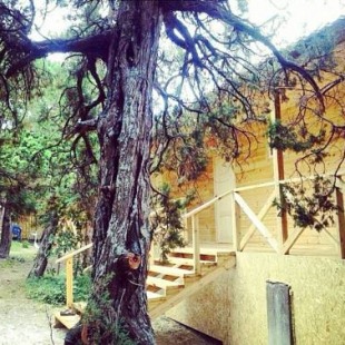 Фотография мини отеля Милана