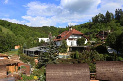 Фотография гостевого дома Penzion V Hluboké a Department Glamp