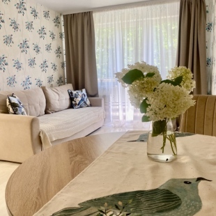 Фотография квартиры Апартаменты Двухкомнатные недалеко от вокзалов Sinyaya ptichka