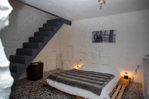 Фотография гостевого дома Vintage House in centro storico Basilicata Puglia