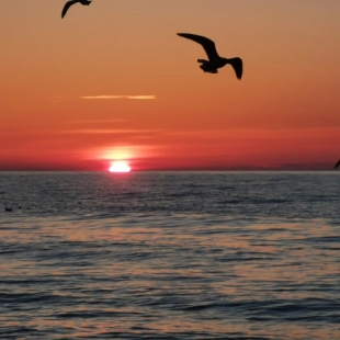 Фотография квартиры Квартира в Зеленоградске