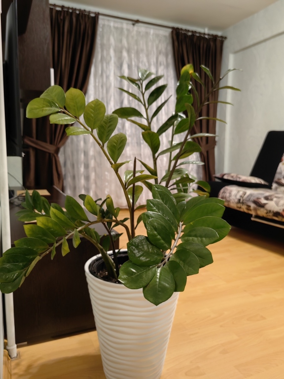 Фотография квартиры Квартира на Октябрьском проспекте 30А